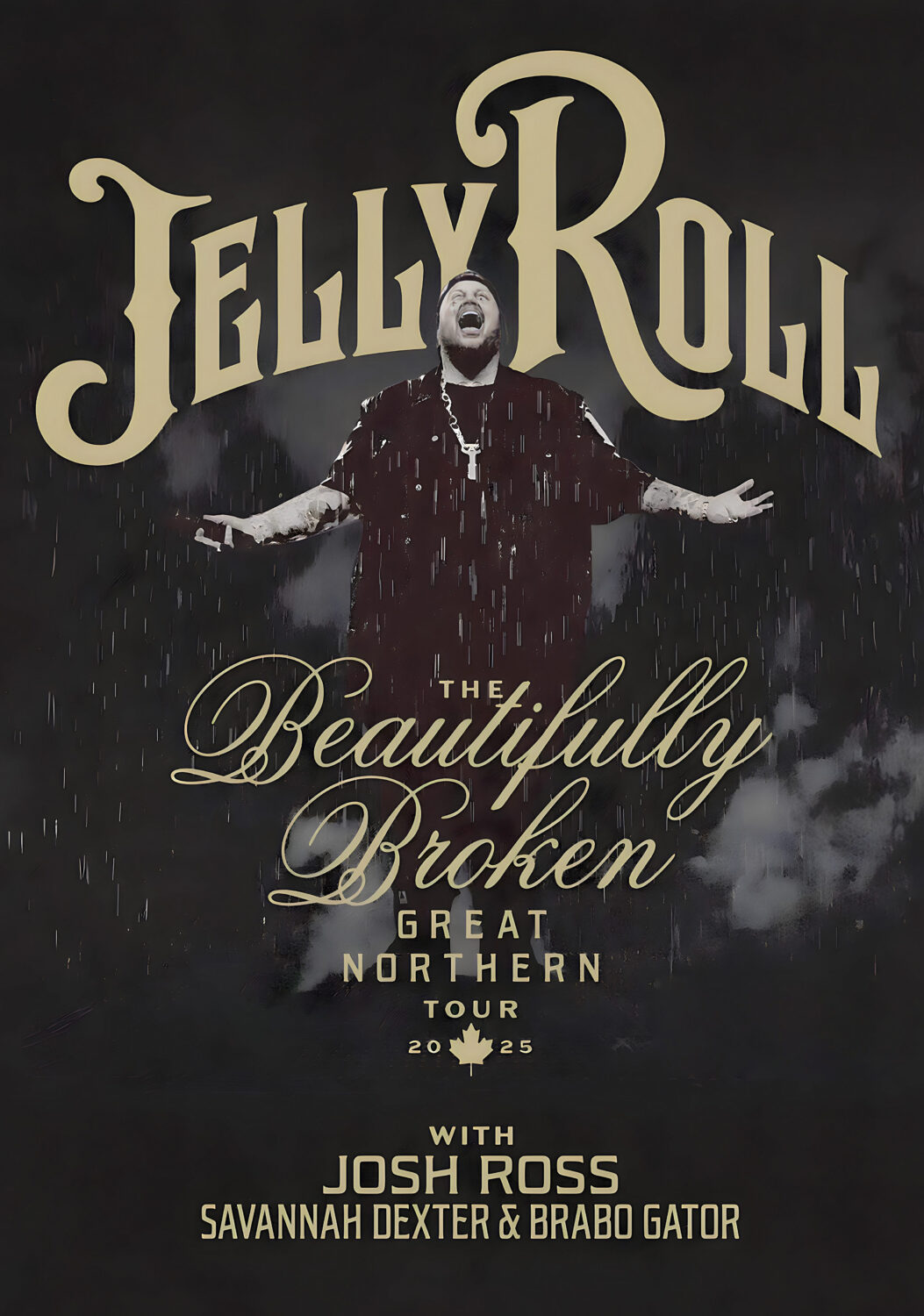JELLY ROLL The Beautifully Broken Great Northern 2025 Tour Poster