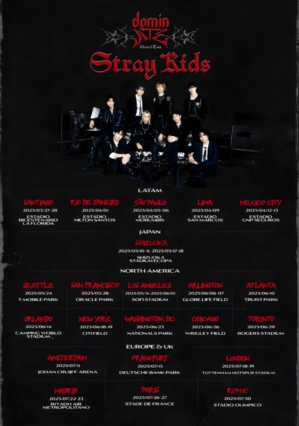 STRAY KIDS dominATE 2025 Stadium World Tour Poster Print
