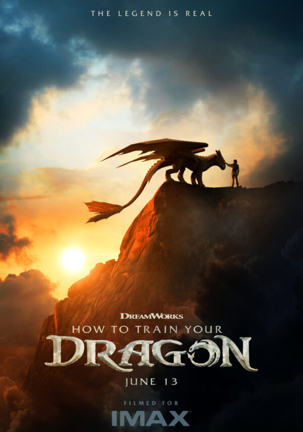 HOW TO TRAIN YOUR DRAGON 012 Movie Film Poster Print