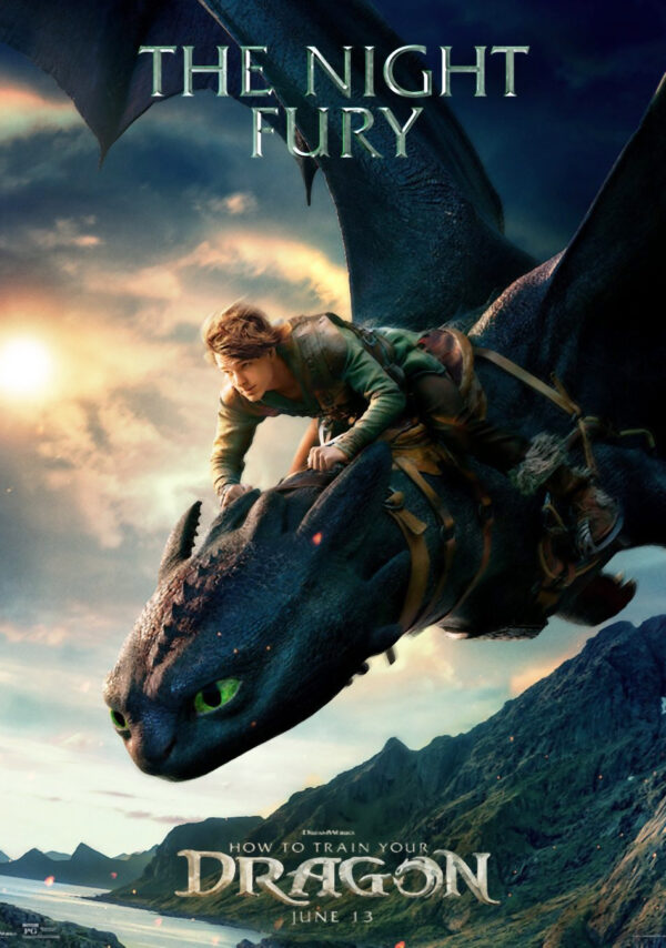 HOW TO TRAIN YOUR DRAGON 013 Movie Film Poster Print