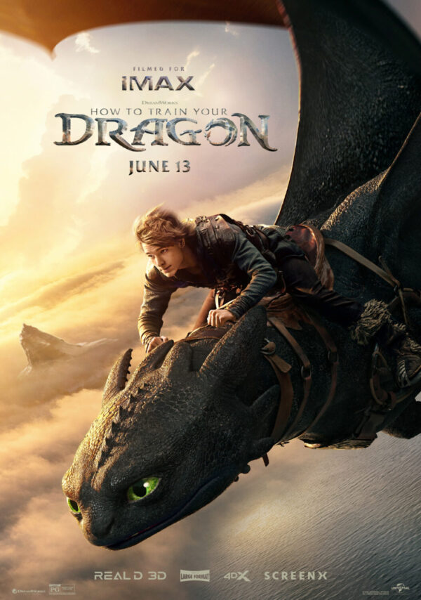 HOW TO TRAIN YOUR DRAGON 014 Movie Film Poster Print