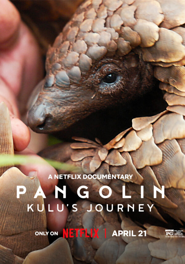 PANGOLIN KULUS JOURNEY  Movie Film Poster Print