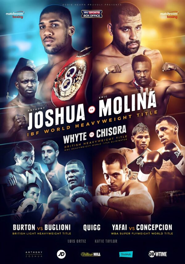 ANTHONY JOSHUA vs. ERIC MOLINA Manchester Arena 2016 Boxing Fight Poster Print