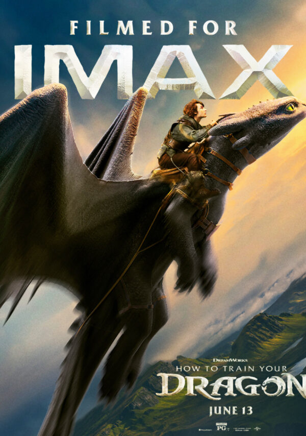 HOW TO TRAIN YOUR DRAGON Movie Film Poster Print