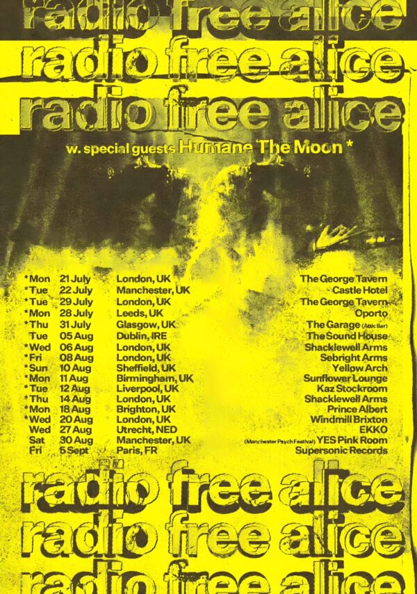 RADIO FREE ALICE Toyota Camry Live 2025 UK Tour Poster