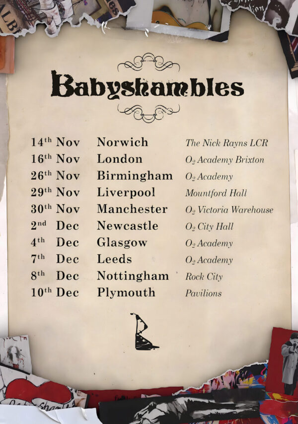BABYSHAMBLES Down In Albion 2025 Live UK Tour Poster