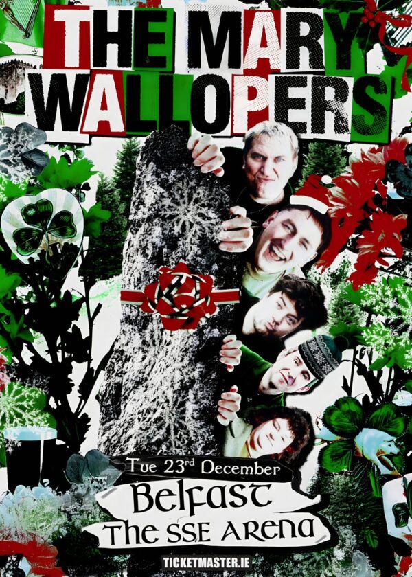 THE MARY WALLOPERS The Juice 2025 Ireland Tour BELFAST The SSE Arena Poster