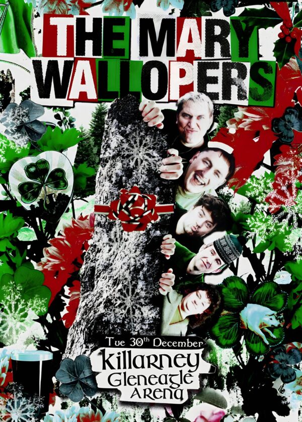 THE MARY WALLOPERS The Juice 2025 Ireland Tour KILLARNEY Gleneagle Arena Poster