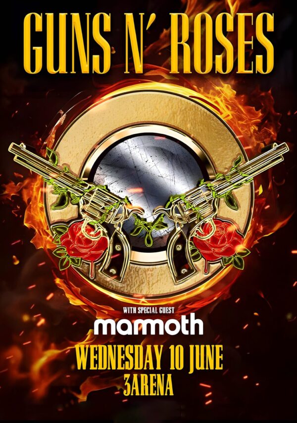 GUNS N ROSES World Tour 2026 Live DUBLIN 3 Arena Poster