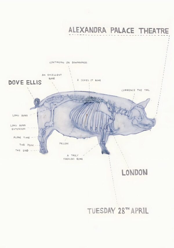 DOVE ELLIS Blizzard 2026 UK Tour LONDON Alexandra Palace Theatre Poster