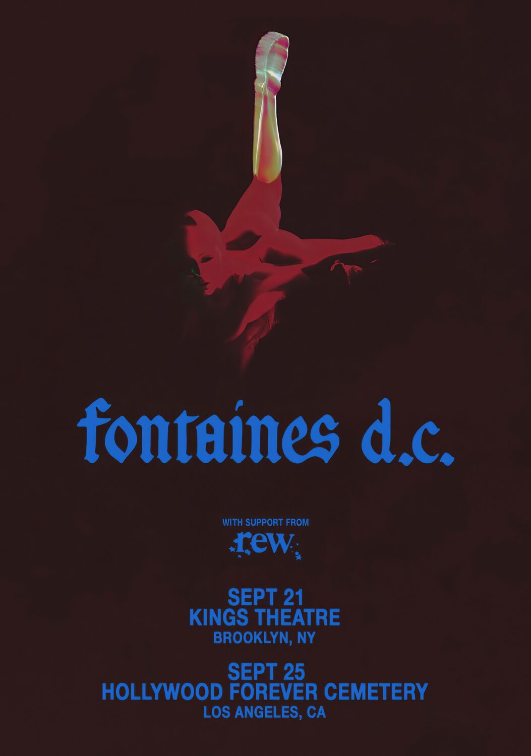 FONTAINES D.C. Dopamine Chamber 2026 Tour BROOKLYN - LOS ANGELES Poster