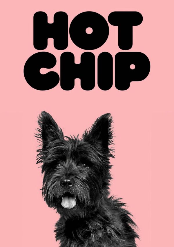 HOT CHIP A Long Way From Kansas - The Album Poster Print
